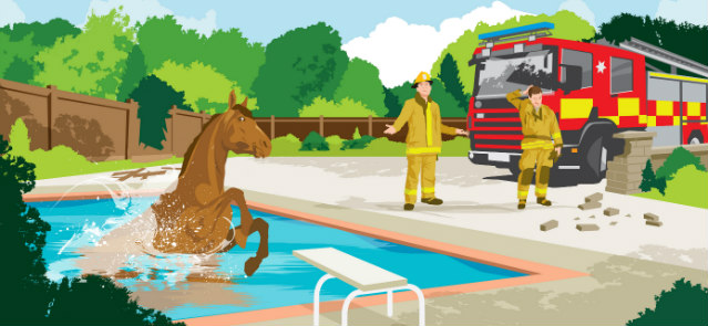 Horse jumps into swimming pool