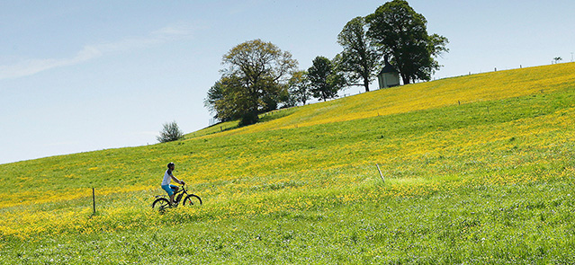 ktm ventura cross 9 electric bike