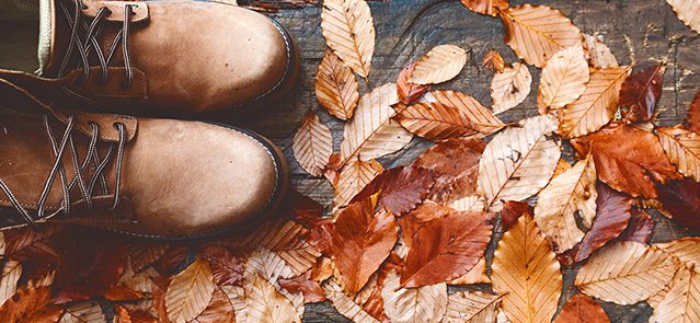 Autumn leaves