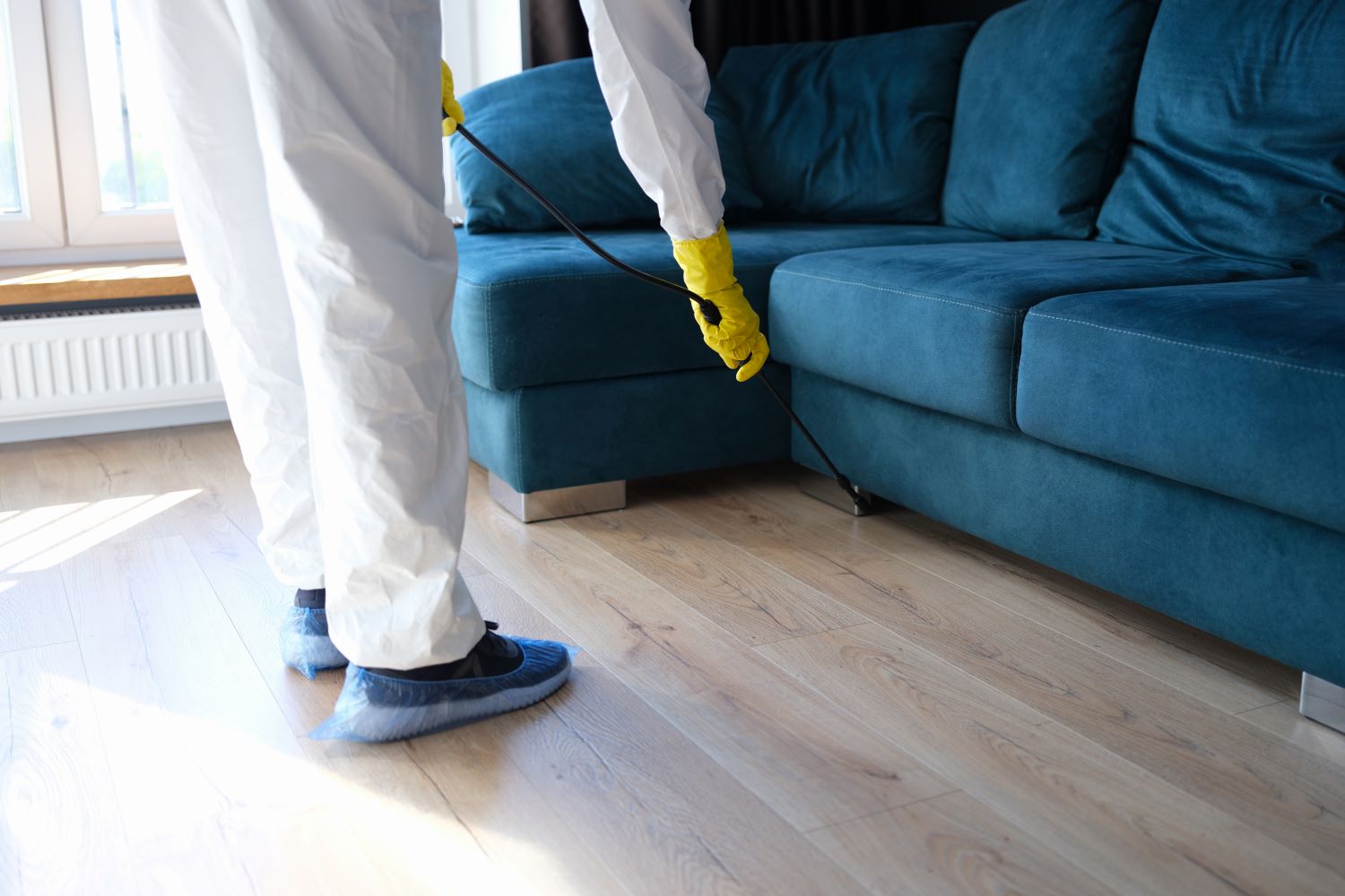 A person disinfecting a blue sofa