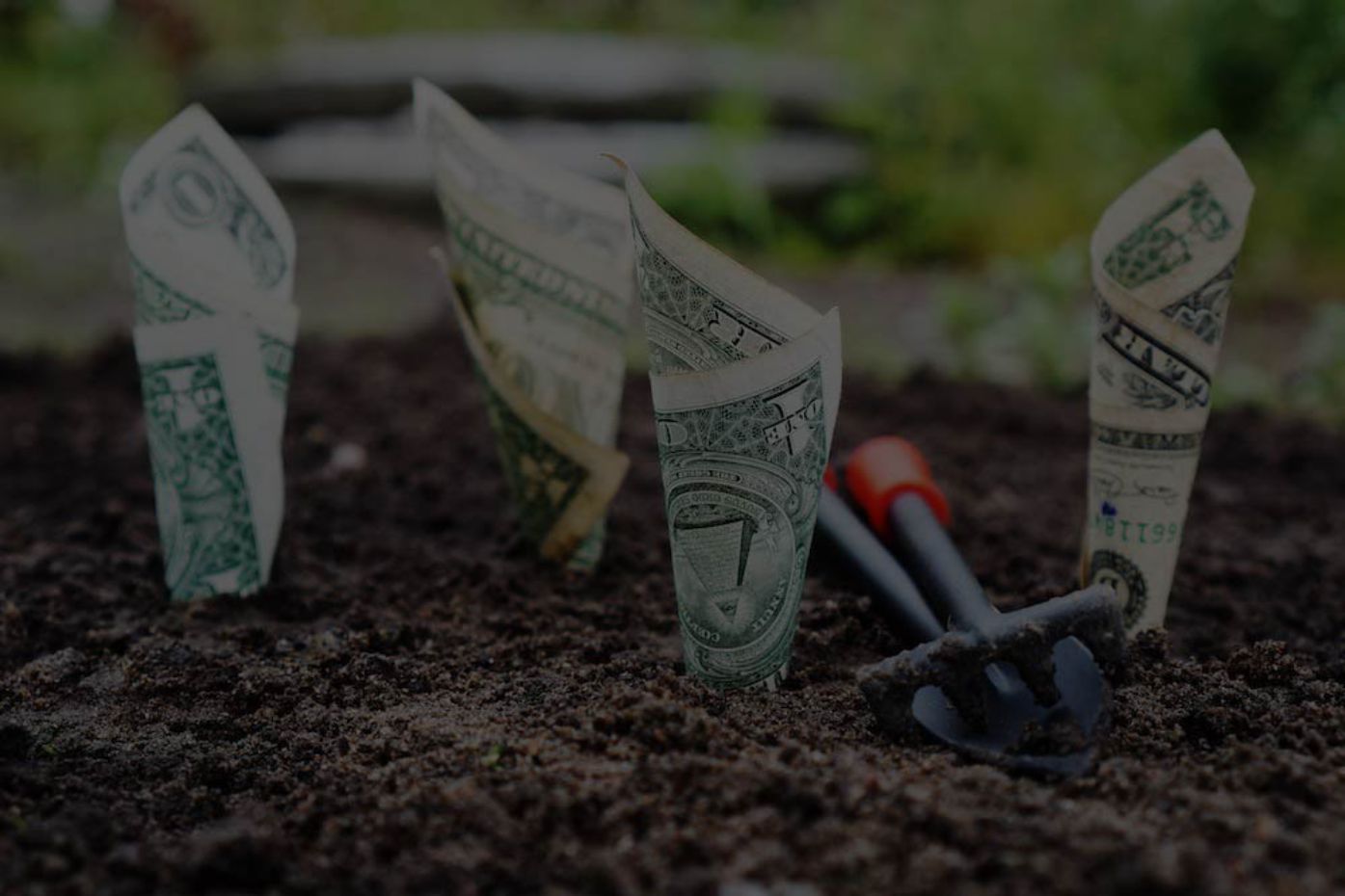 dollar bills planted in soil