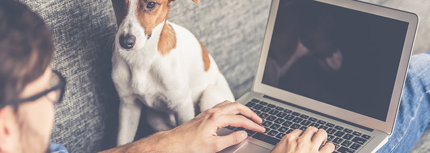 man on sofa with his laptop and dog