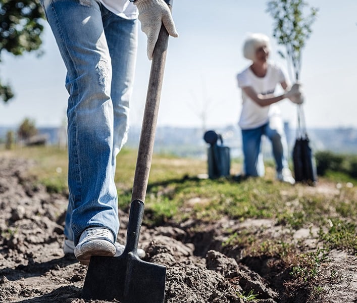 Volunteers planting trees