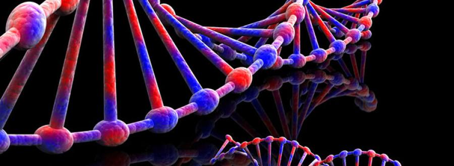 DNA