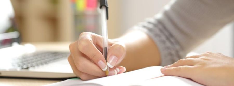 professional writing in diary