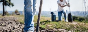 People planting trees