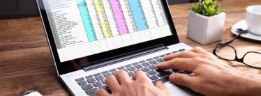 person at laptop with colourful Excel document open