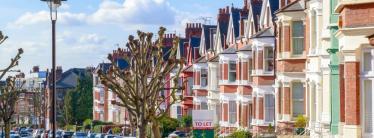 A street with houses for rent