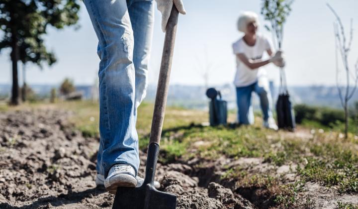 People planting trees