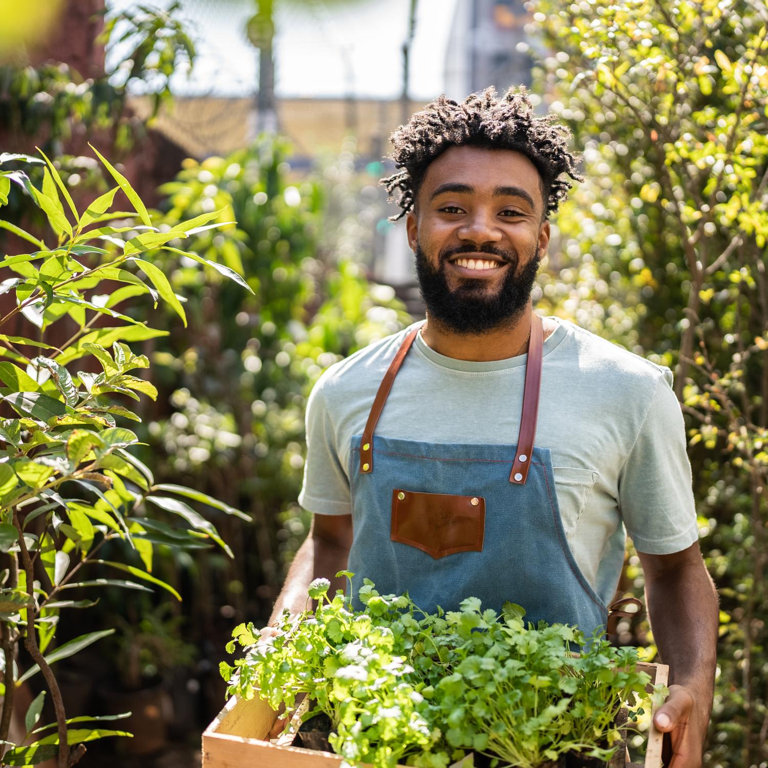 A gardener with plants