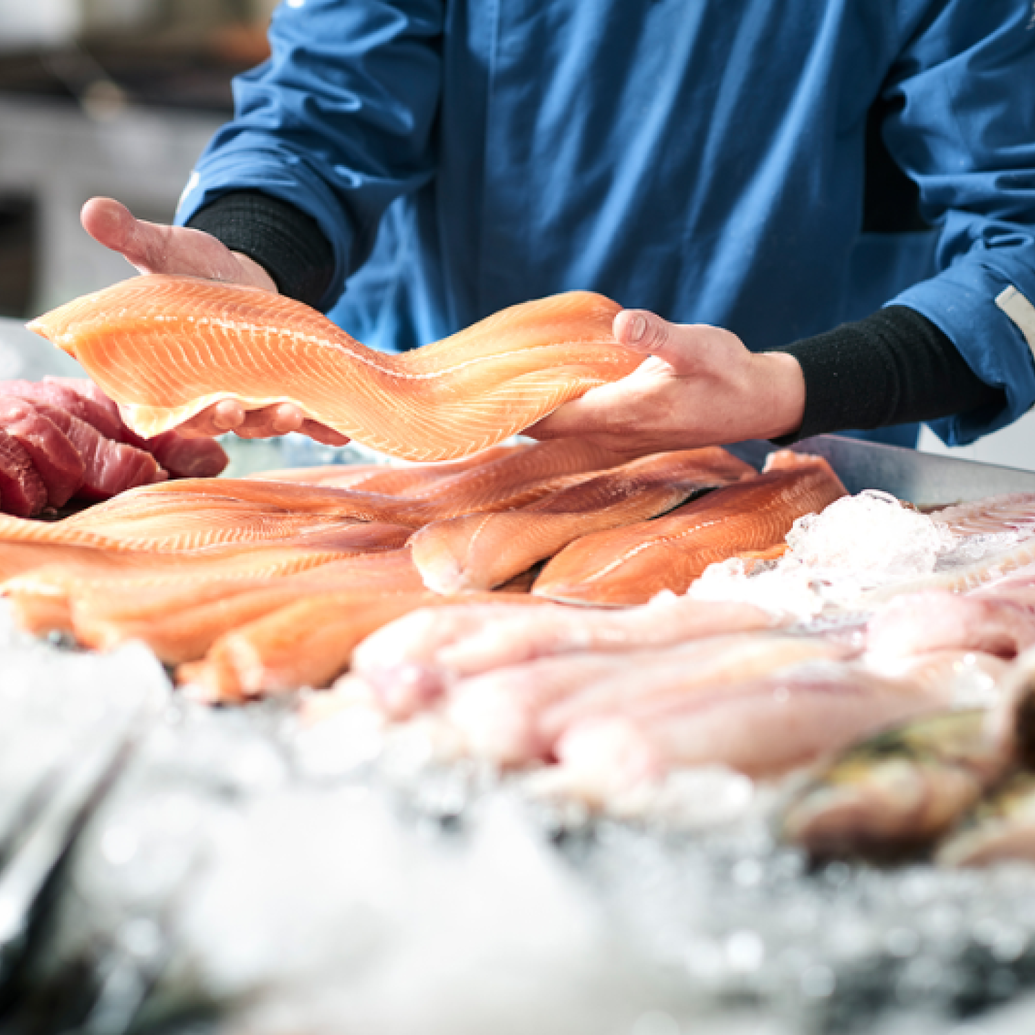 A fishmonger's shop