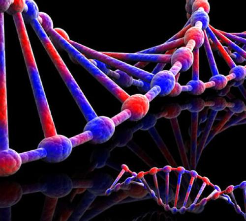 DNA