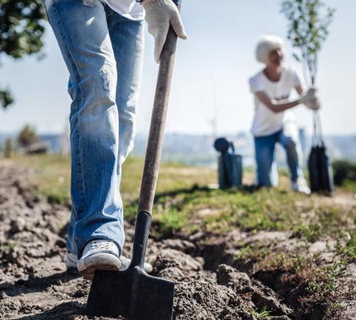 People planting trees