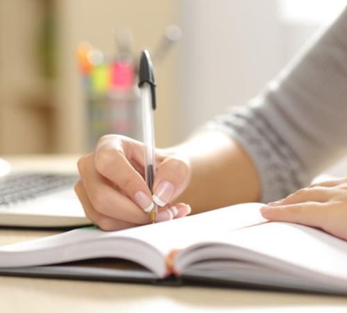 professional writing in diary