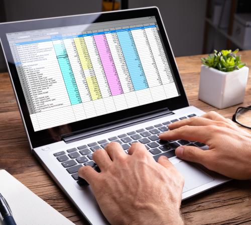 image showing small business owner reviewing spreadsheets at laptop