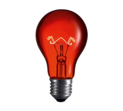 Lightbulb