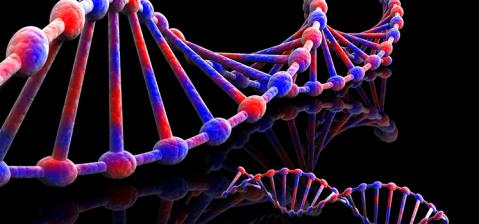 DNA