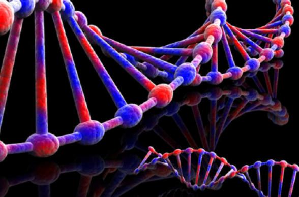 DNA