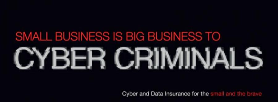 Cyber Criminal Banner