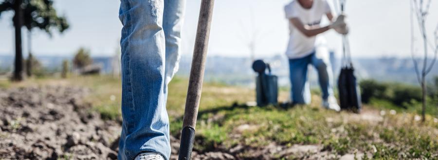 People planting trees