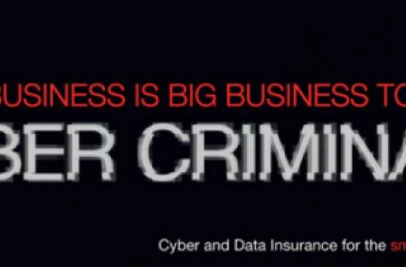 Cyber Criminal Banner
