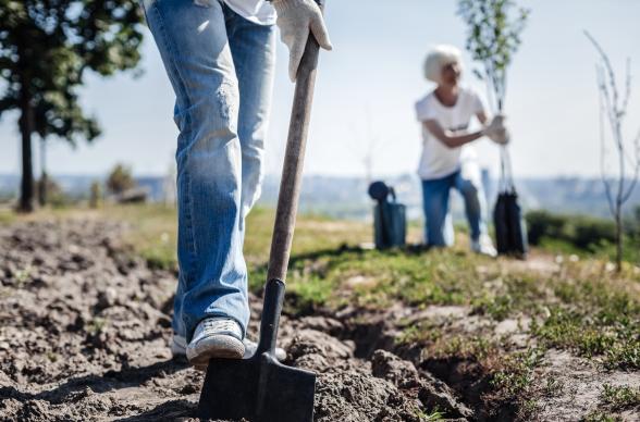 People planting trees